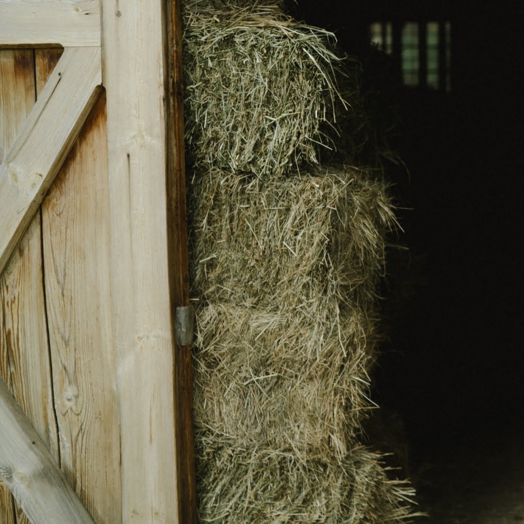 Composición del Alimento para Caballos: Contenido Nutricional