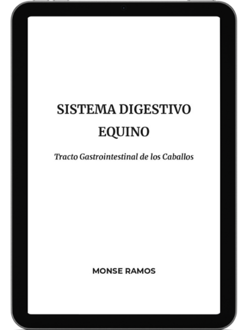 Sistema Digestivo Equino: Tracto Gastrointestinal de los Caballos